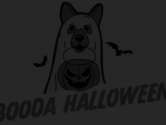 Upcoming pet-friendly festivities