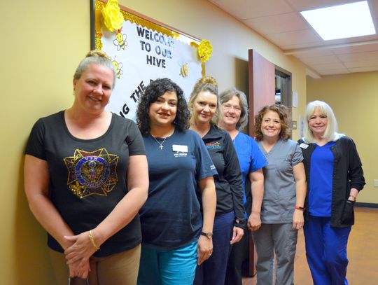 VFW Auxilary honors nurses