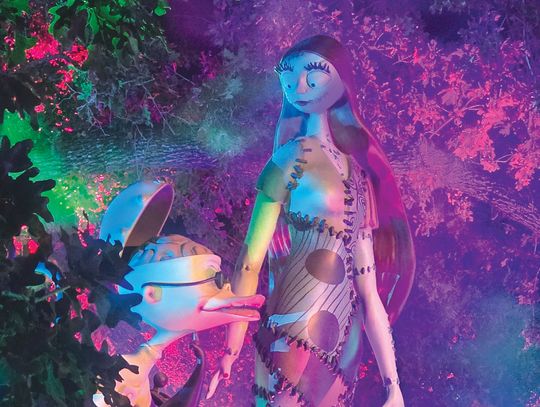 Welcome to the most wonderful nightmare you’ll ever experience