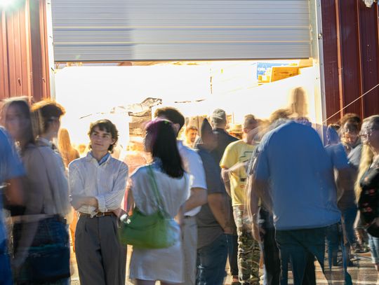 What Would Vincent Do?: Immersive theatrical experience coming to MotherShip Studios for a limited run