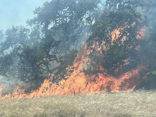 Wildfire burns more than 40 acres near Buda