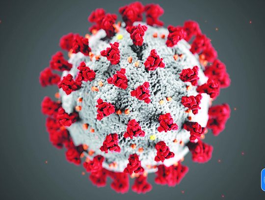 Wimberley couple on quarantined cruise ship