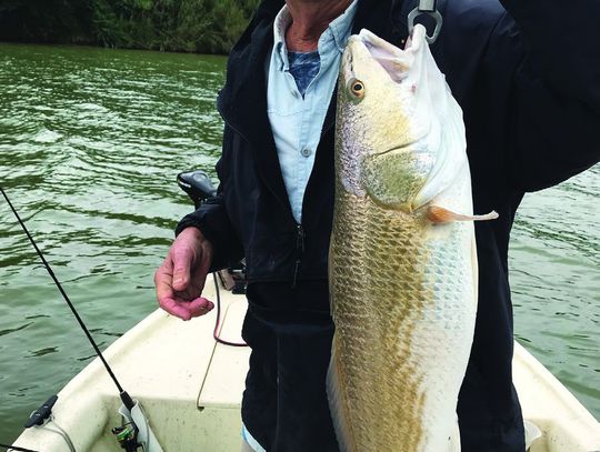 Winter fishing on the Arroyo Colorado River