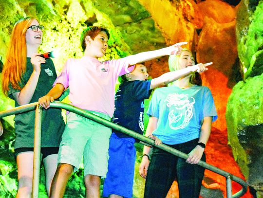 Wonder World receives multiple awards