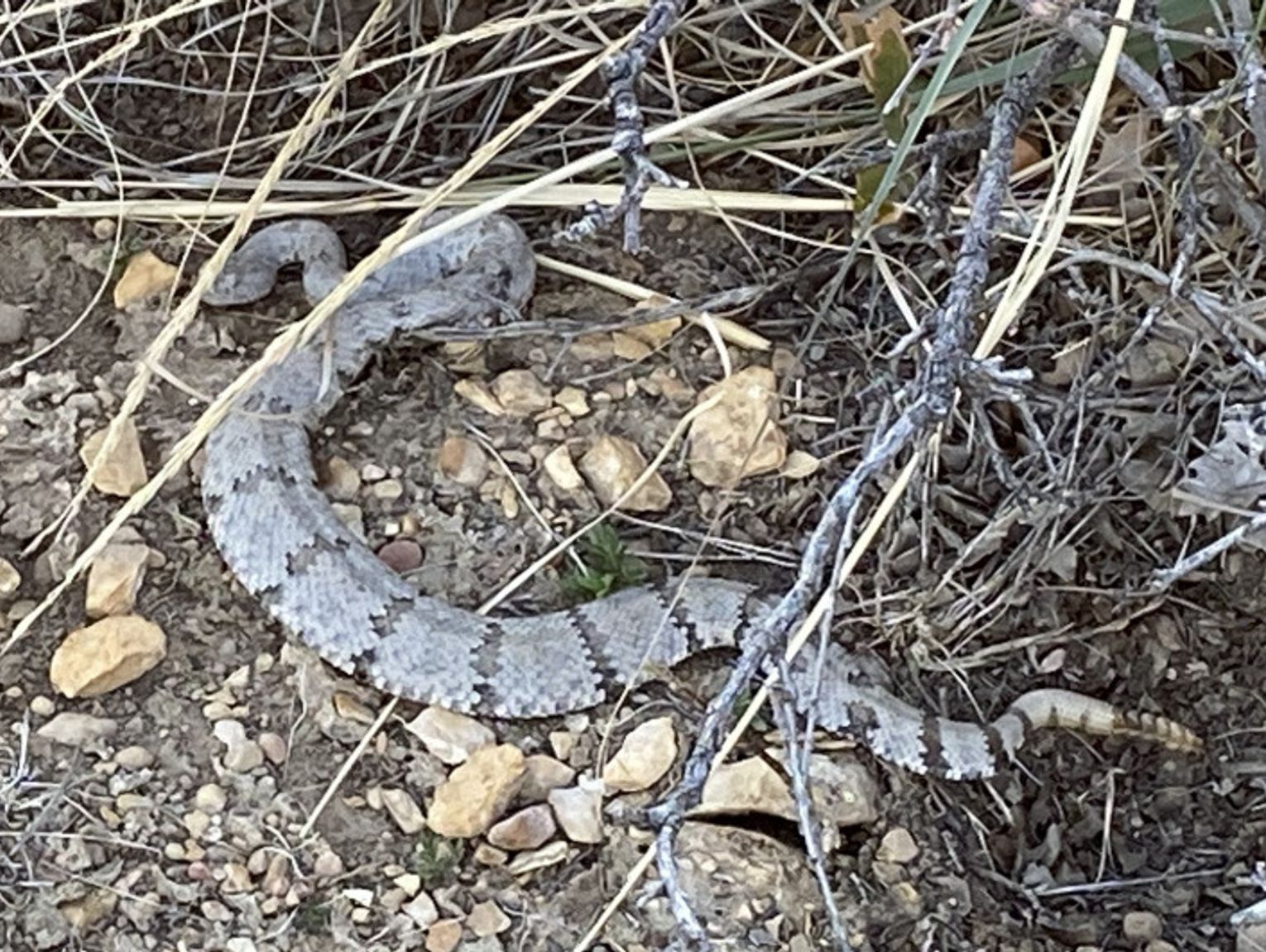 Trail Notes: Horizons of Texas hiking