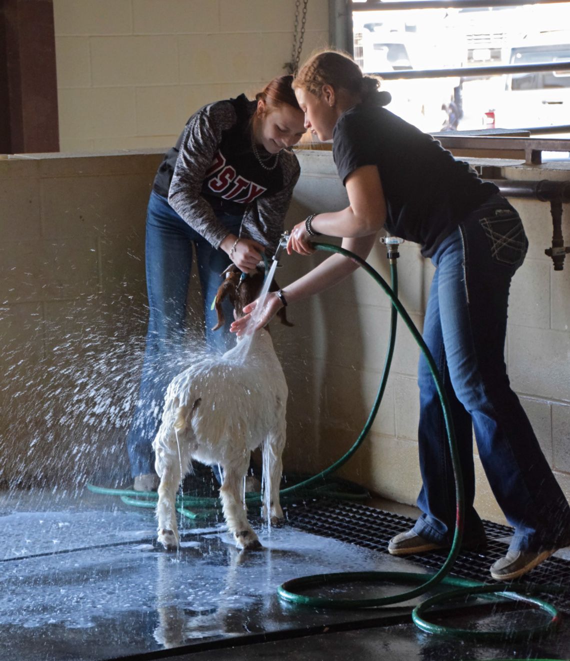 80th Hays County Livestock Show continues to unite communities through agriculture