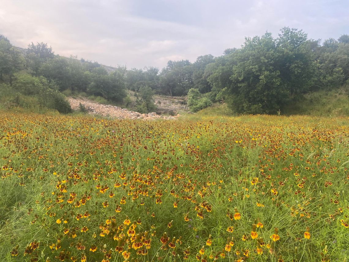 A Beginner’s Guide to Mountain Biking San Marcos Part I