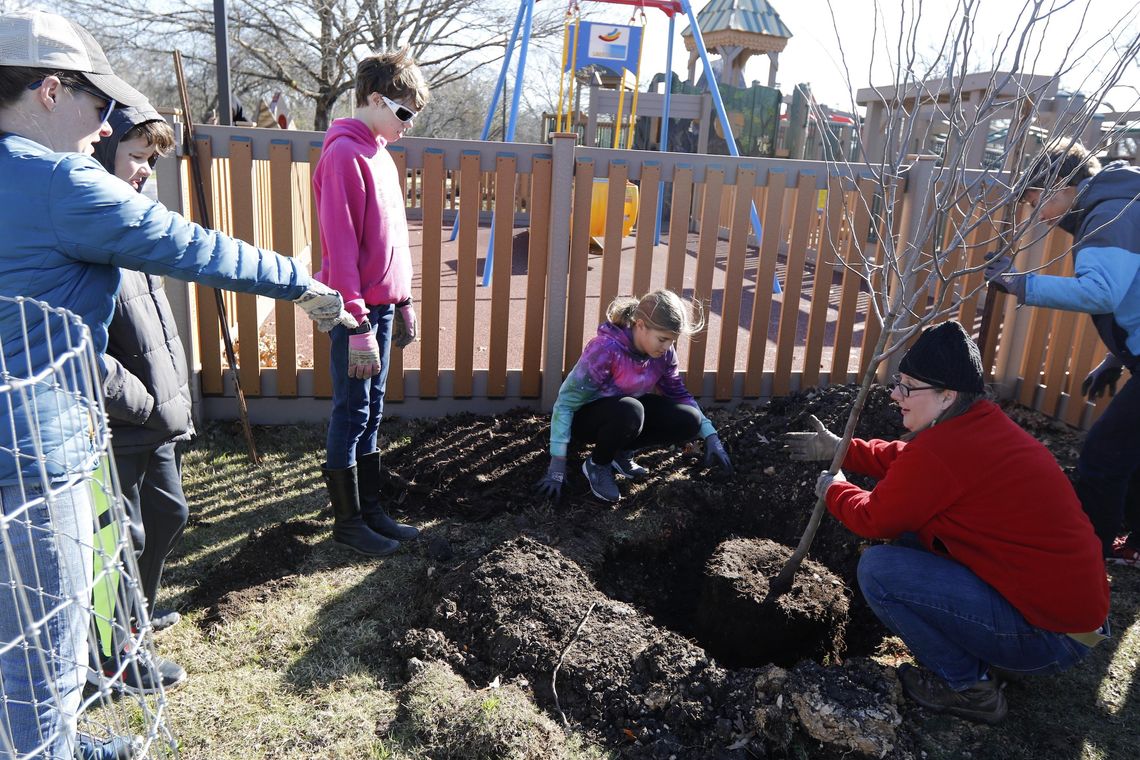 Ahead of spring, community turns out to plant trees