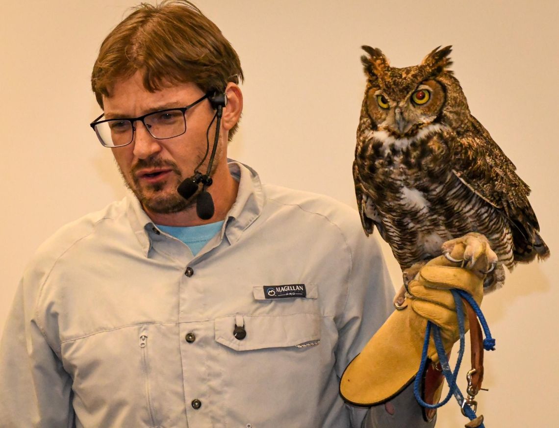 'BIRDS OF PREY': Bird event featuring eagles, falcons, owls takes place at public library 'BIRDS OF PREY': Bird event featuring eagles, falcons, owls takes place at public library