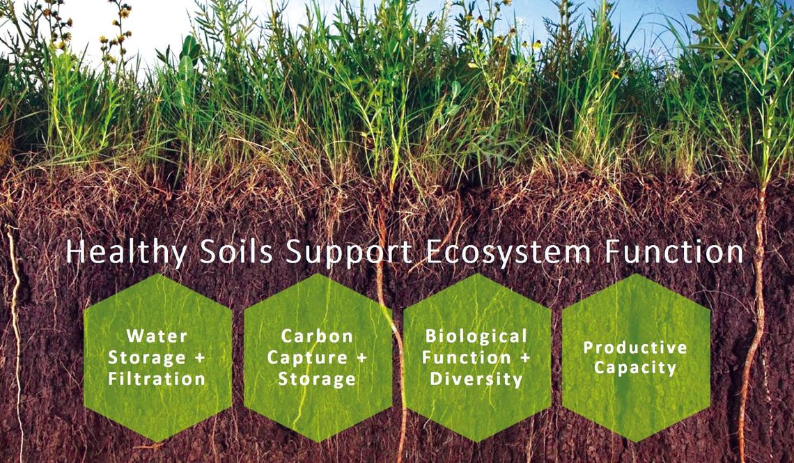 Building healthy soil