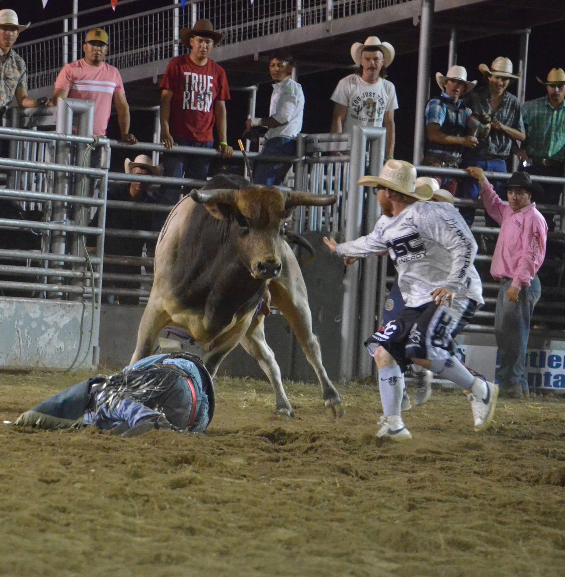 Bullfighters risk lives protecting bullriders