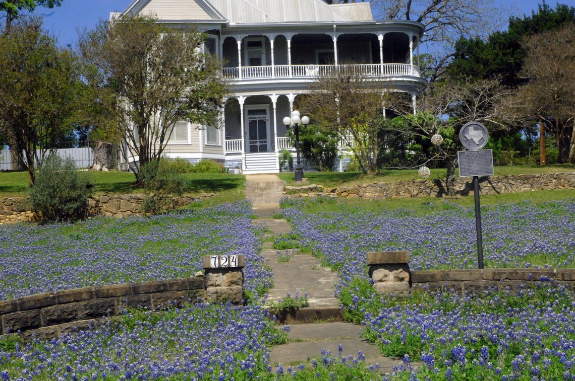 Burleson Street bloom