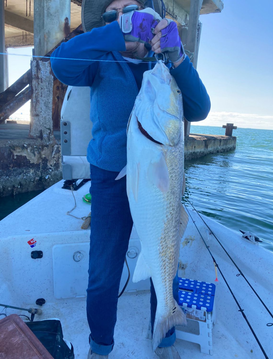 Catching a massive red fish in Corpus Christi Bay Catching a massive red fish in Corpus Christi Bay