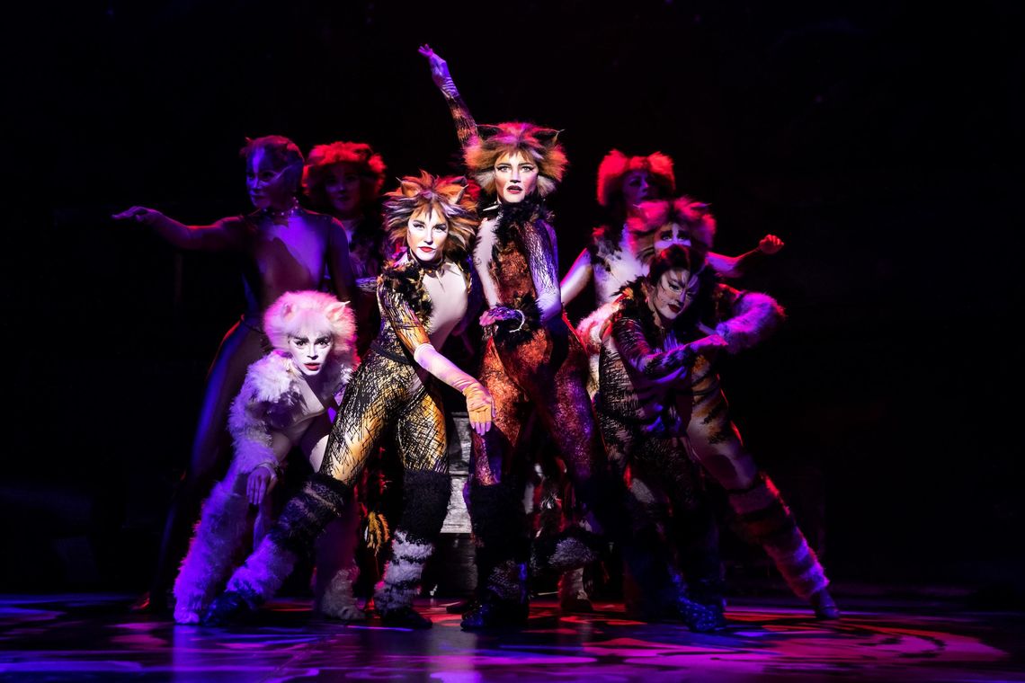 'Cats' comes to Bass Concert Hall