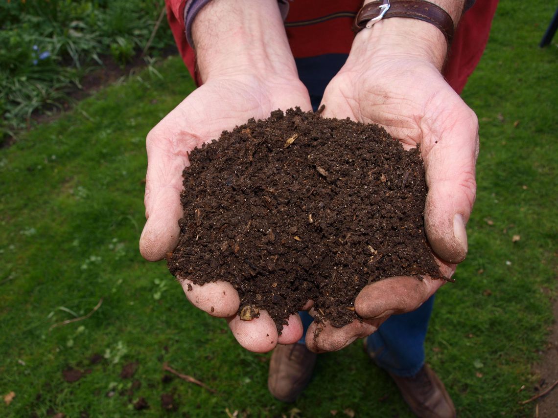 Celebrating Earth Day during a pandemic