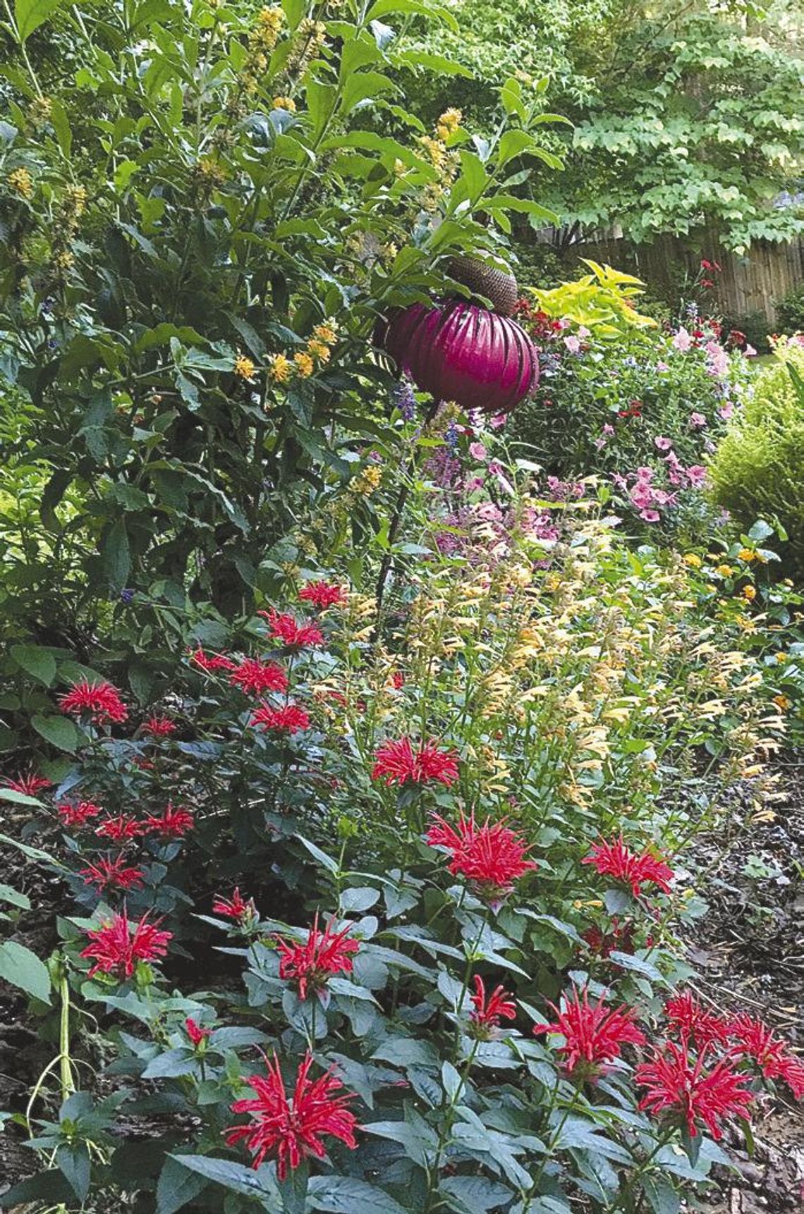 Chenille, Taffeta and Velvet: Making gardens upscale in 2023