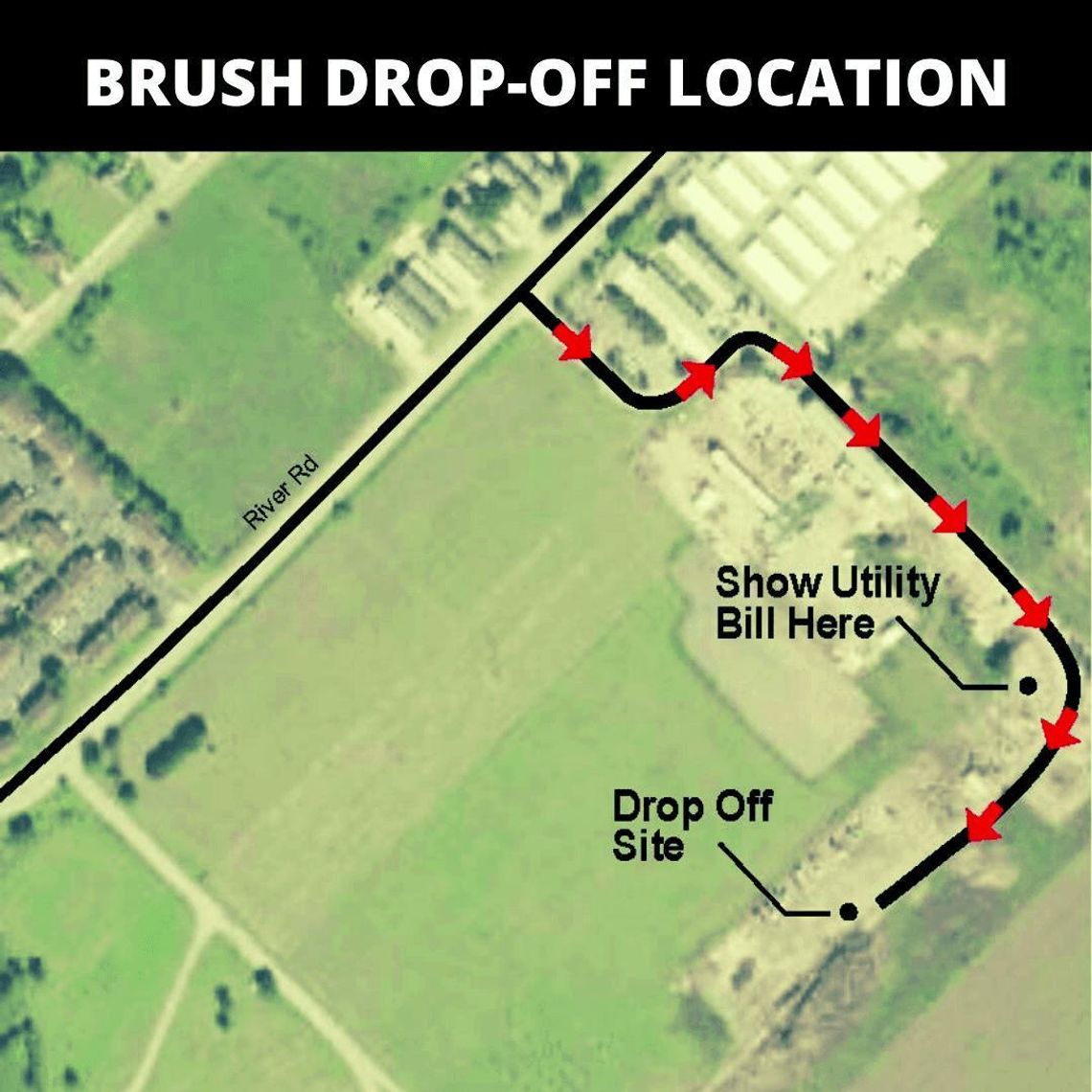 City hosts additional brush drop-off for winter storm cleanup City hosts additional brush drop-off for winter storm cleanup