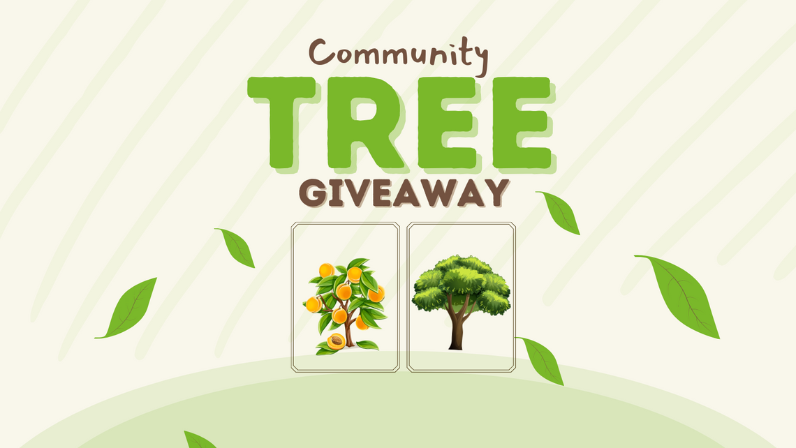 City of San Marcos Parks and Recreation hosts Community Tree Giveaway