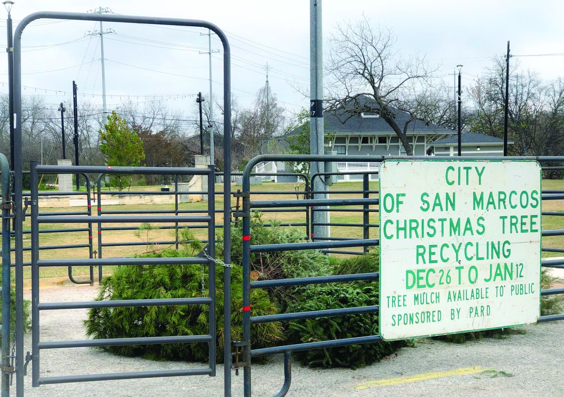 City offering Christmas tree recycling program City offering Christmas tree recycling program