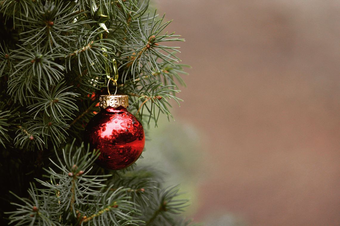 City offers multiple options for Christmas tree recycling 