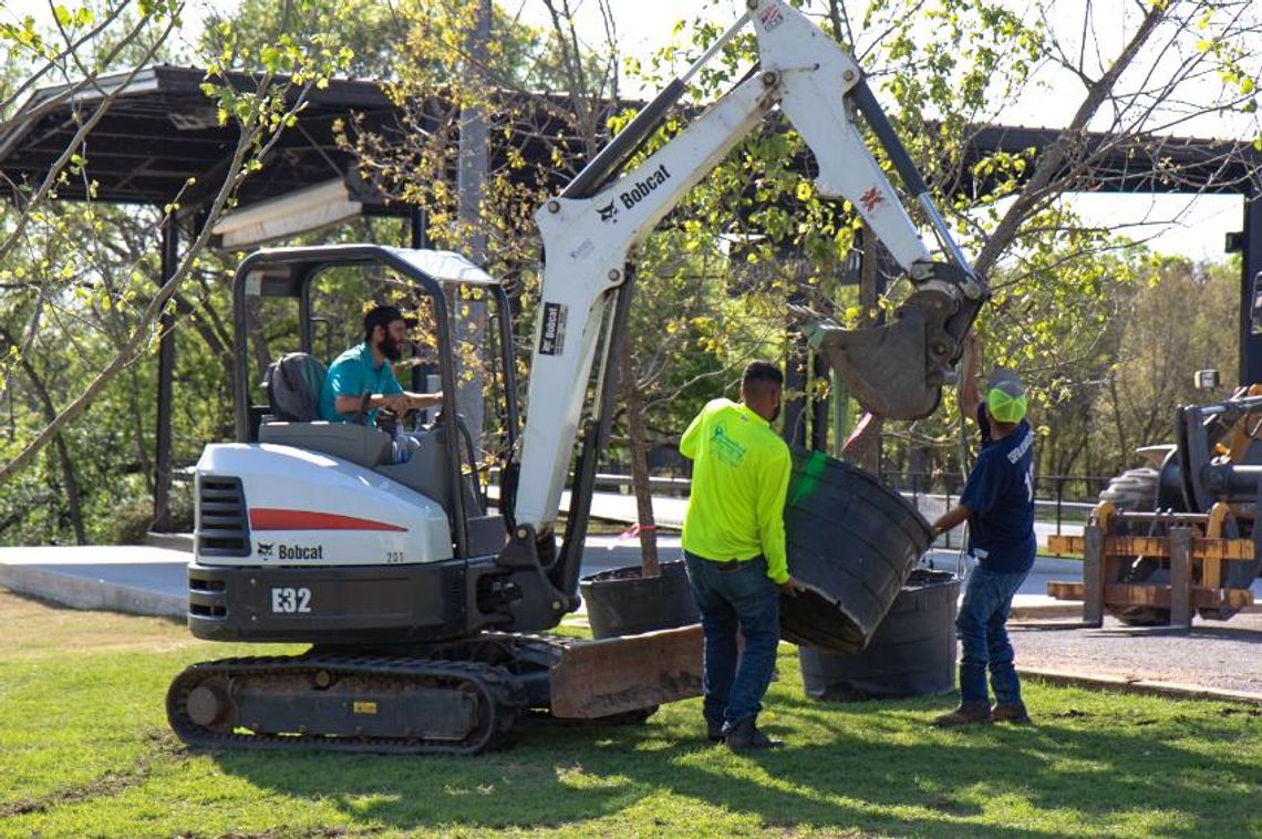 CITY RECEIVES TREE DONATION