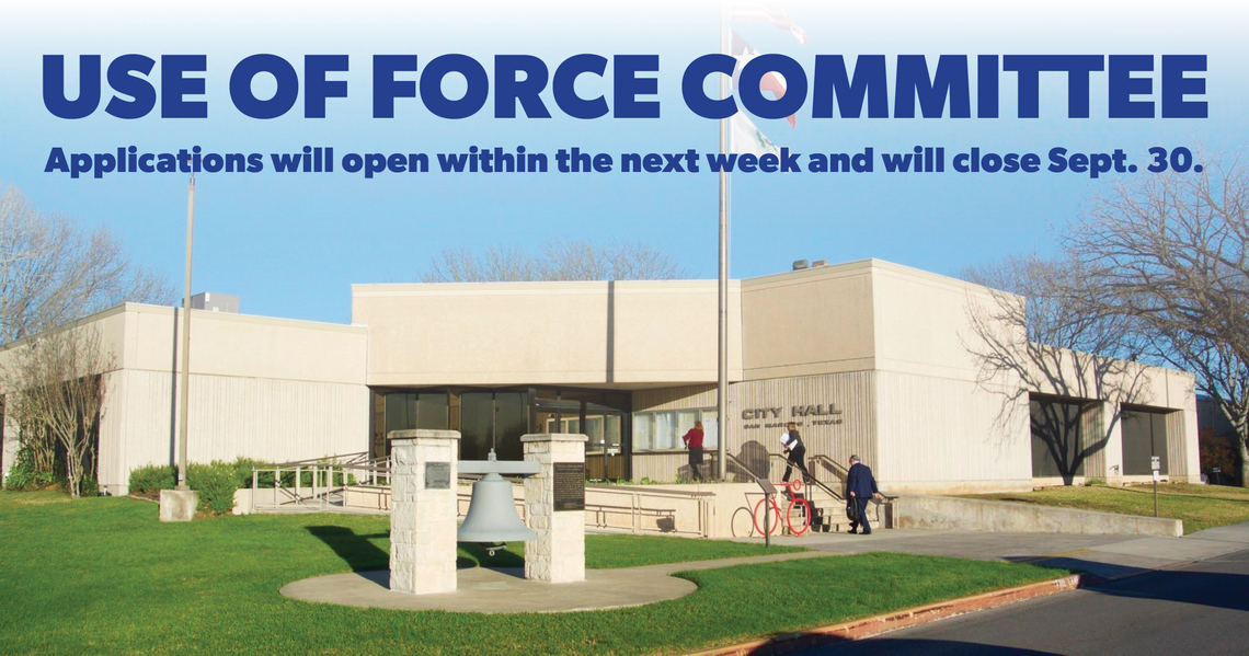 Council establishes use of force committee