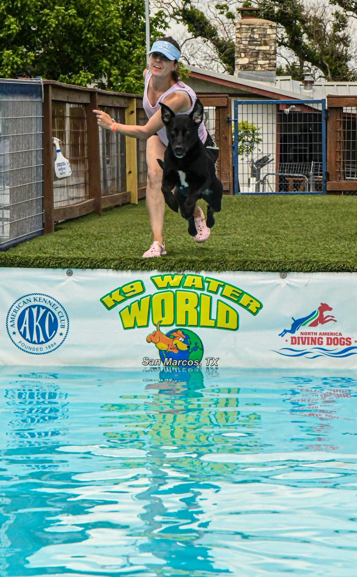 Dock diving dogs make a splash