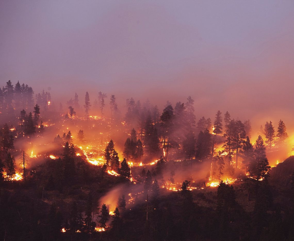 Exploring Nature: Birds  & Fire