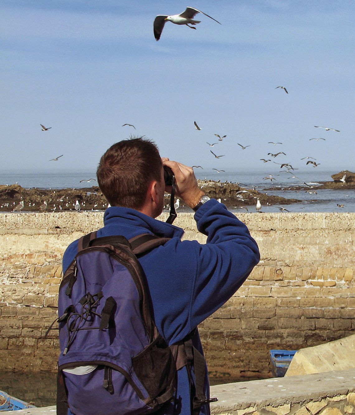 Exploring Nature: Let’s go to Alamo Exploring Nature: Let’s go to Alamo