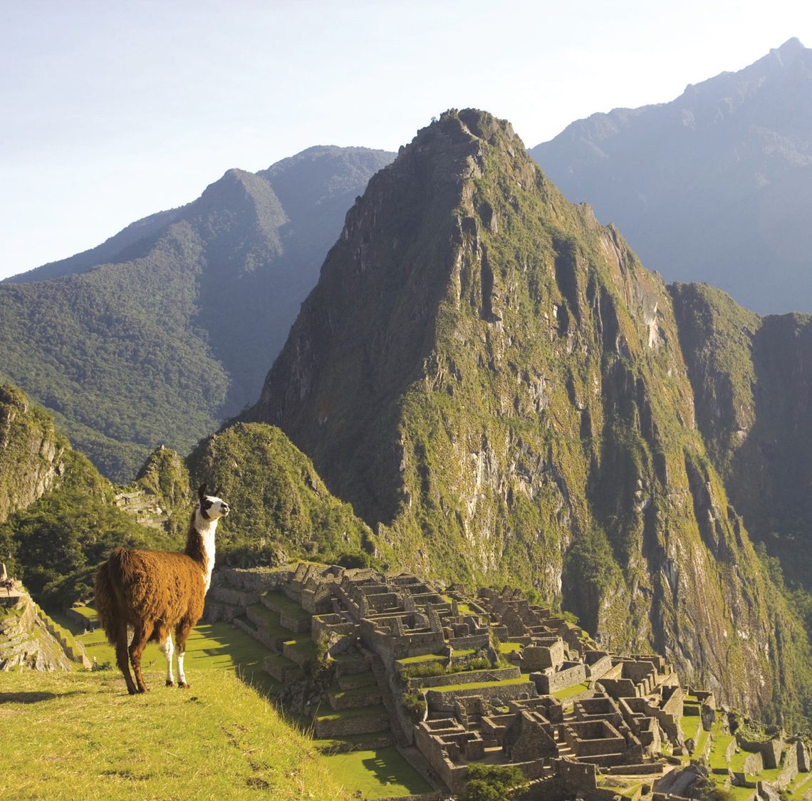 Exploring Nature: Machu Picchu Exploring Nature: Machu Picchu