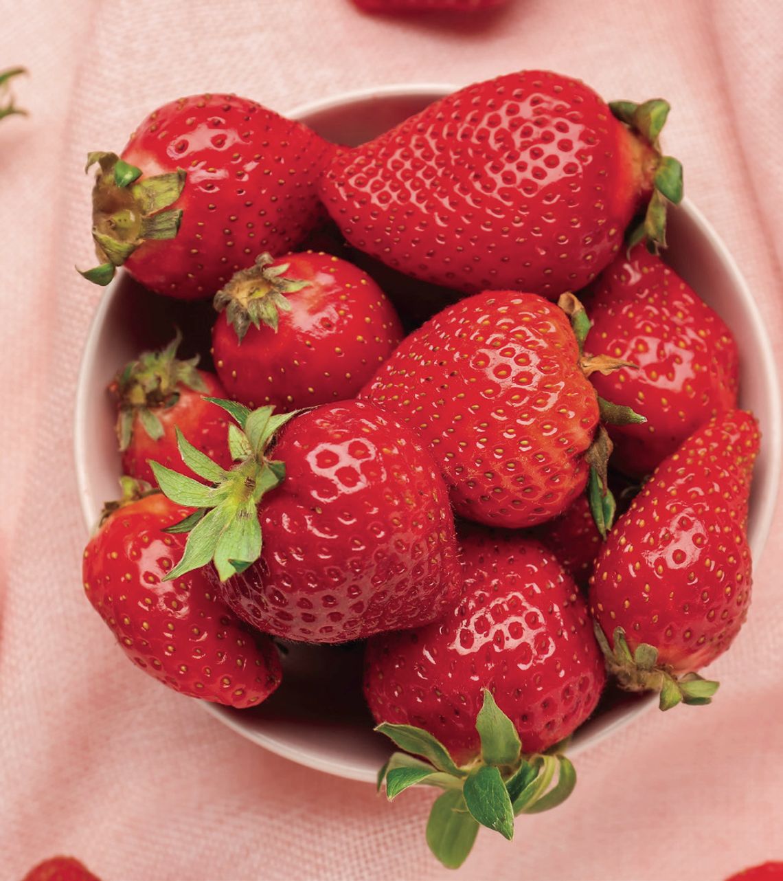 Exploring Nature: Strawberries & Pigs Exploring Nature: Strawberries & Pigs