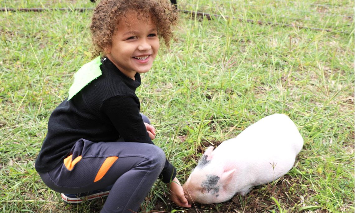 Fry's Fun Farm visits Bonham Pre-K