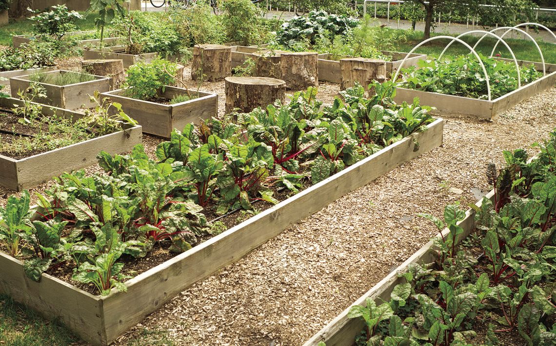 Gardening by the Foot