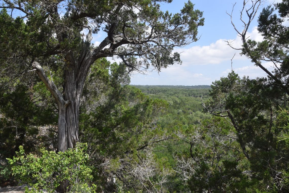 Hays County acquires Purgatory Creek Nature Preserve 