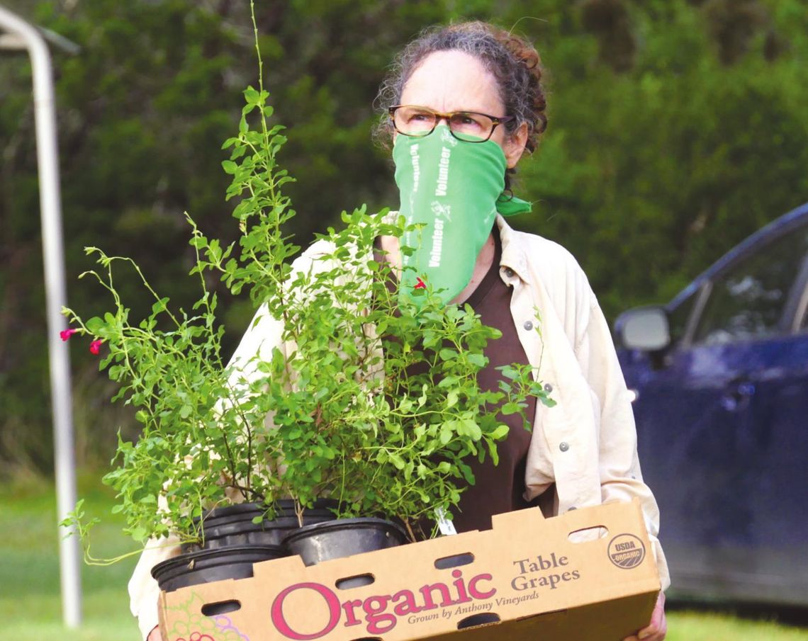 Hays County Master Gardeners hosts annual plant and tree sale Hays County Master Gardeners hosts annual plant and tree sale