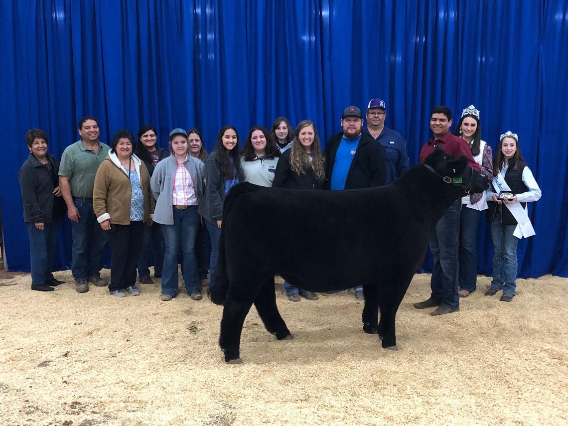 Hays County Youth Livestock Show wraps up