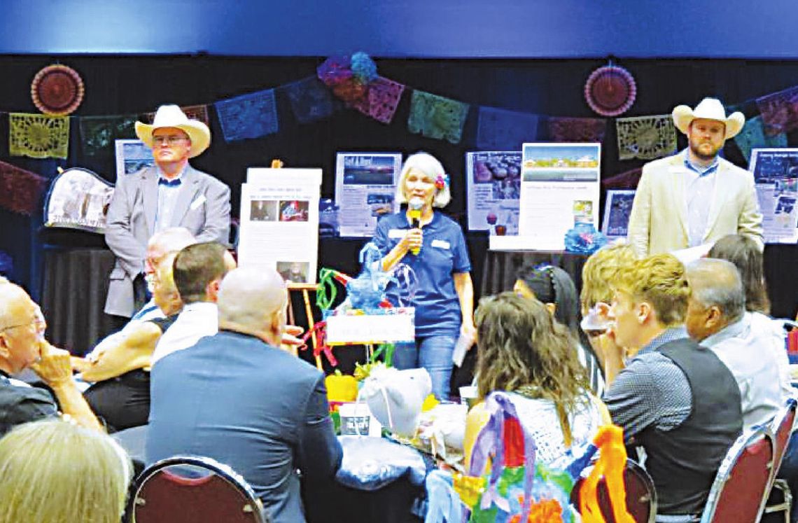 HCWC annual auction returns to celebrate Marla Johnson’s 28 years as executive director HCWC annual auction returns to celebrate Marla Johnson’s 28 years as executive director