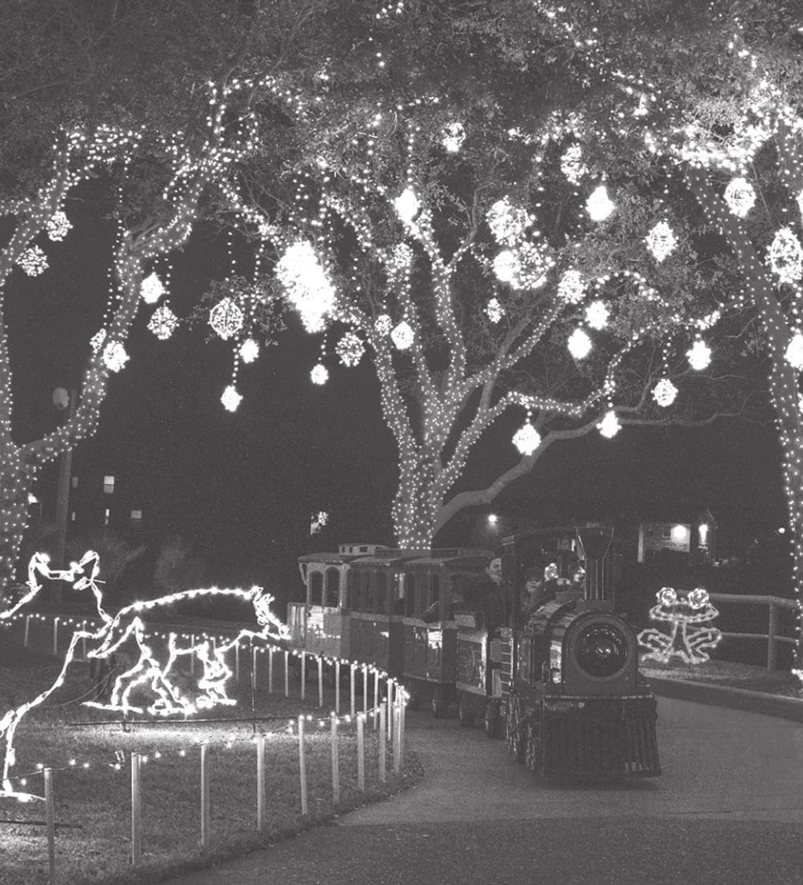 Holiday in the Gardens celebrates 20 years of its Festival of Lights