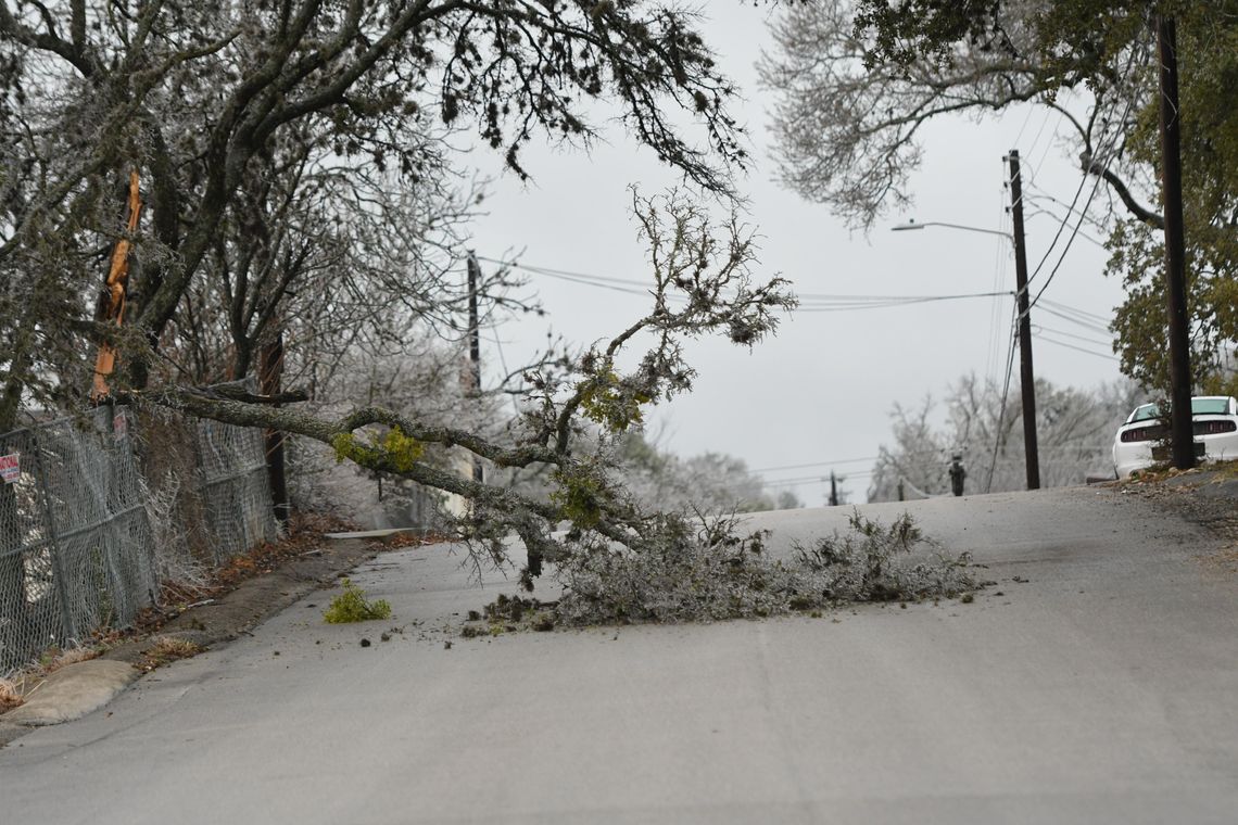 ICY CONDITIONS: Winter weather continues, bringing downed branches, power outages