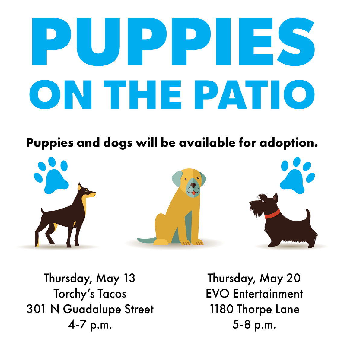 Local businesses to host patio events benefiting San Marcos Regional Animal Shelter Local businesses to host patio events benefiting San Marcos Regional Animal Shelter