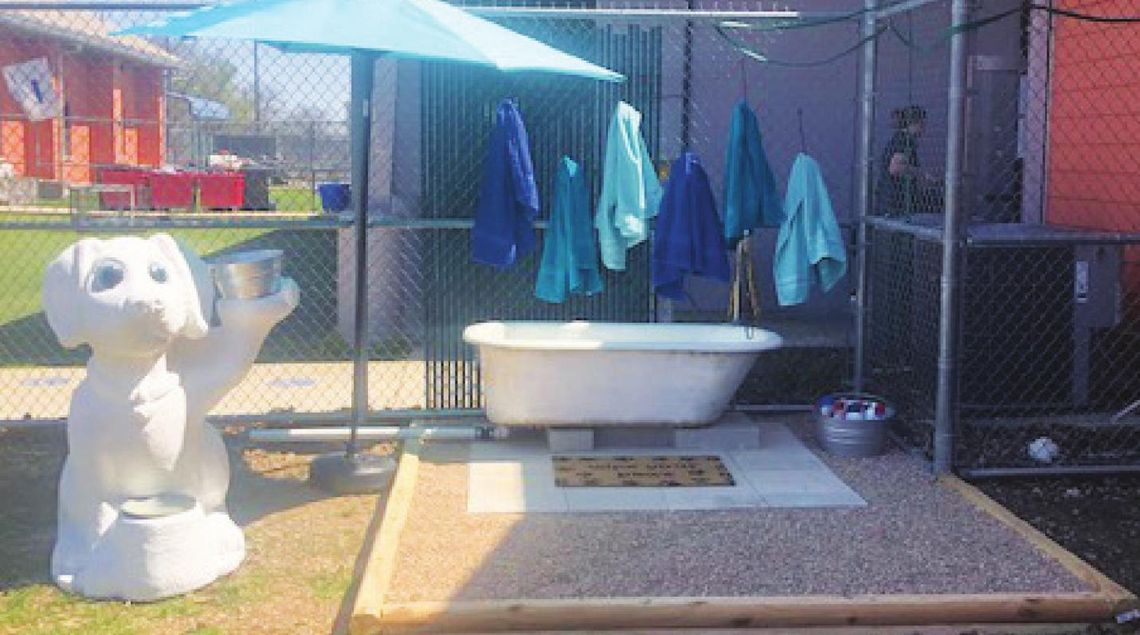 Local Eagle Scout helps regional animal shelter with project Local Eagle Scout helps regional animal shelter with project