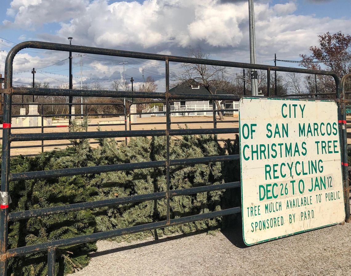 Looking to recycle your Christmas tree? City offers multiple options 