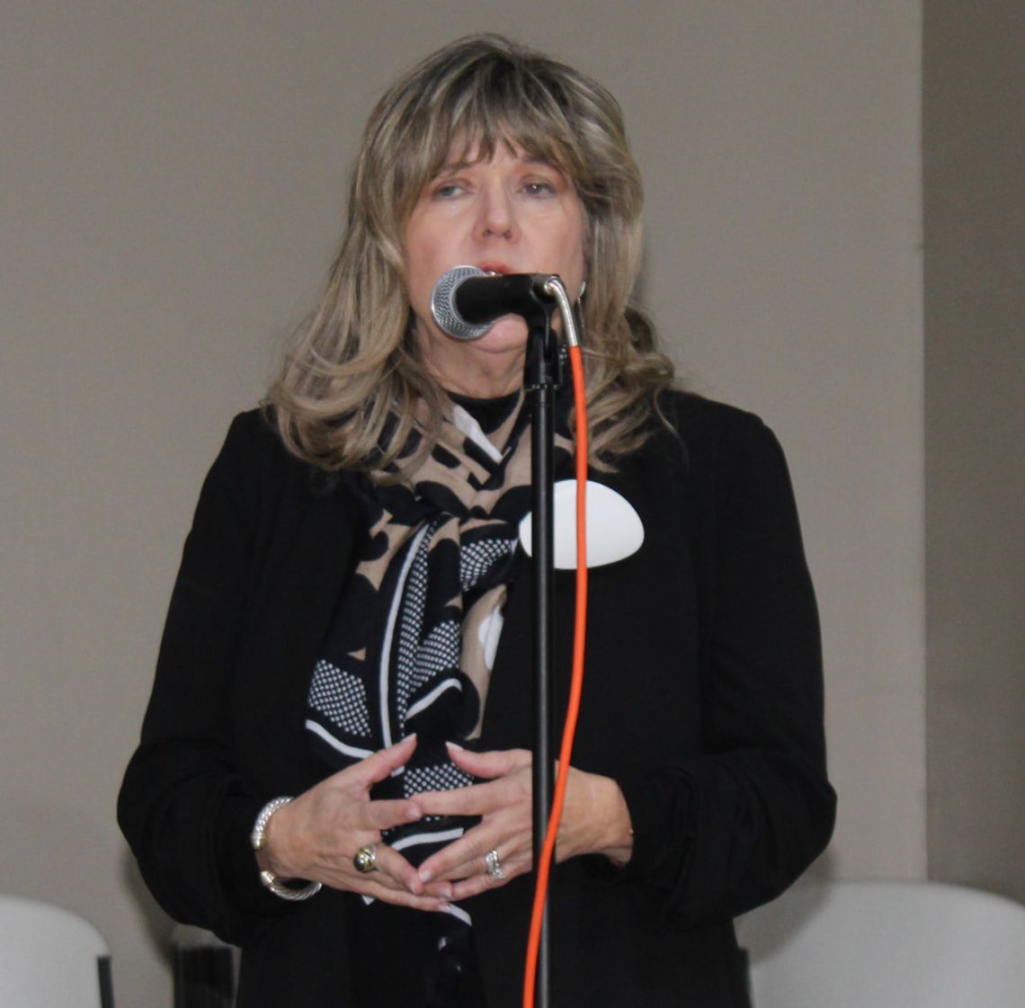 Mental Health Court topic of Rotary discussion