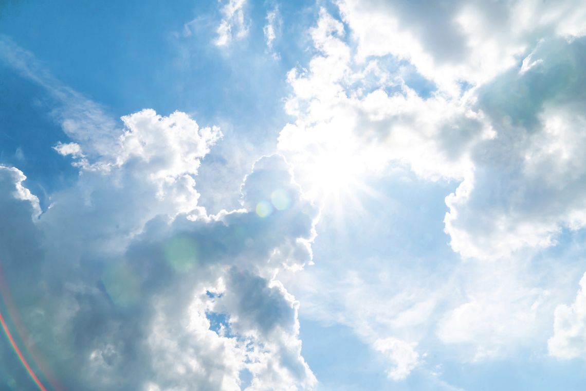 Our Pollinator Friends: Taking a closer look at the animals and insects that help the flowers grow Our Pollinator Friends: Taking a closer look at the animals and insects that help the flowers grow