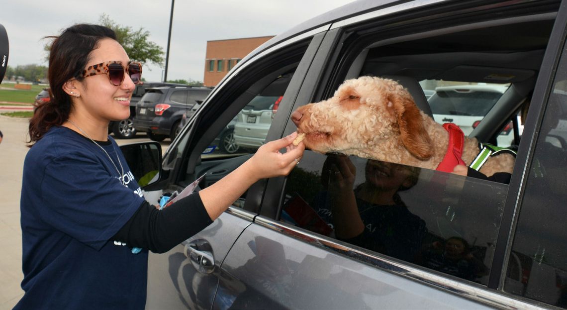 Over 250 served at first food distribution for people and pets