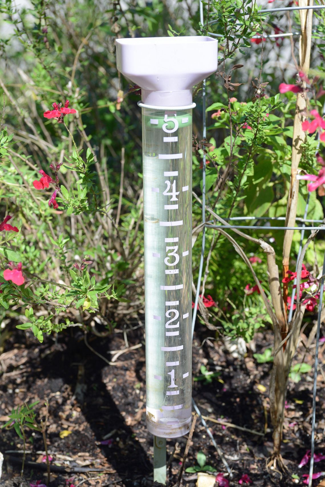 OVERNIGHT DOWNPOUR: San Marcos sees up to 5 inches of rain Wednesday morning OVERNIGHT DOWNPOUR: San Marcos sees up to 5 inches of rain Wednesday morning