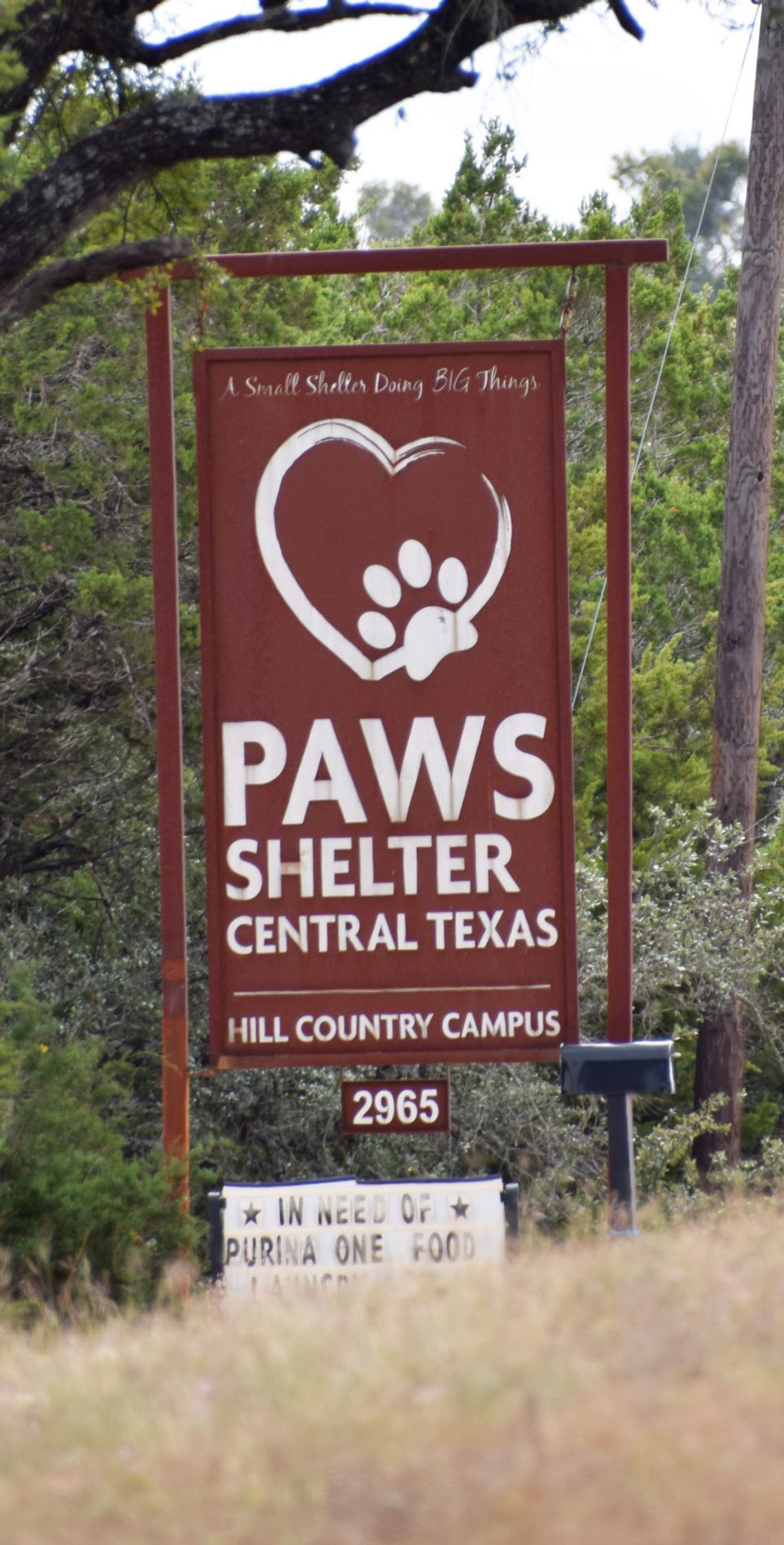 PAWS shelter in Kyle to remain open after community response PAWS shelter in Kyle to remain open after community response