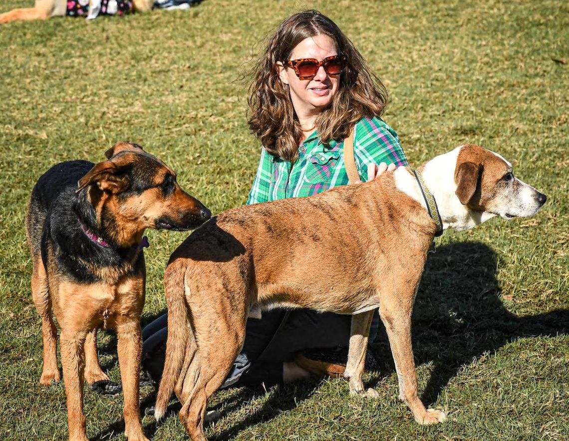 PET FEST FUN: Pets takeover San Marcos Plaza Park during 19th annual event