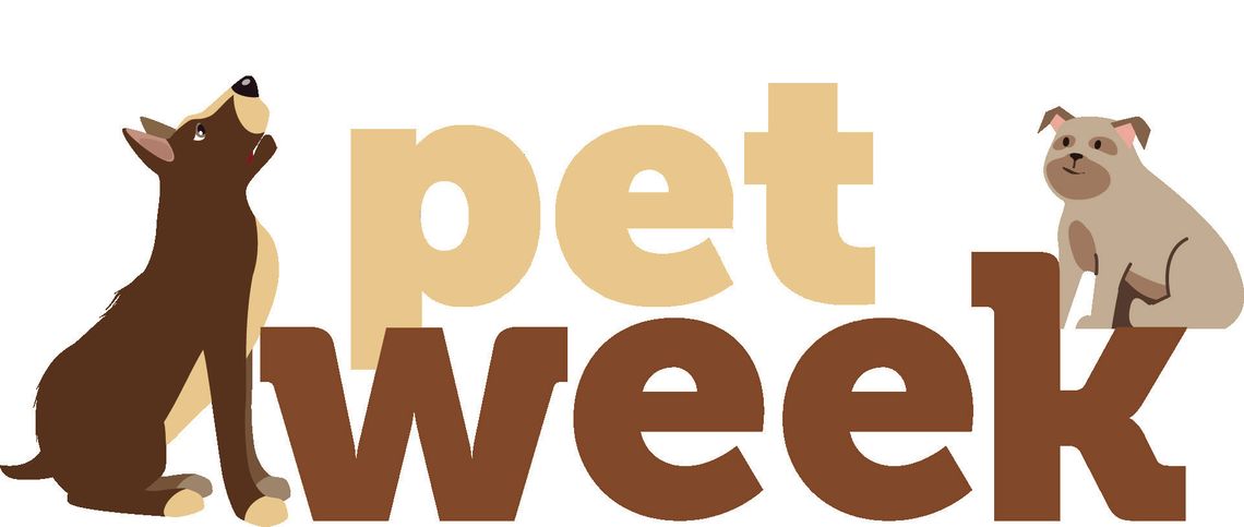 PET of the Week