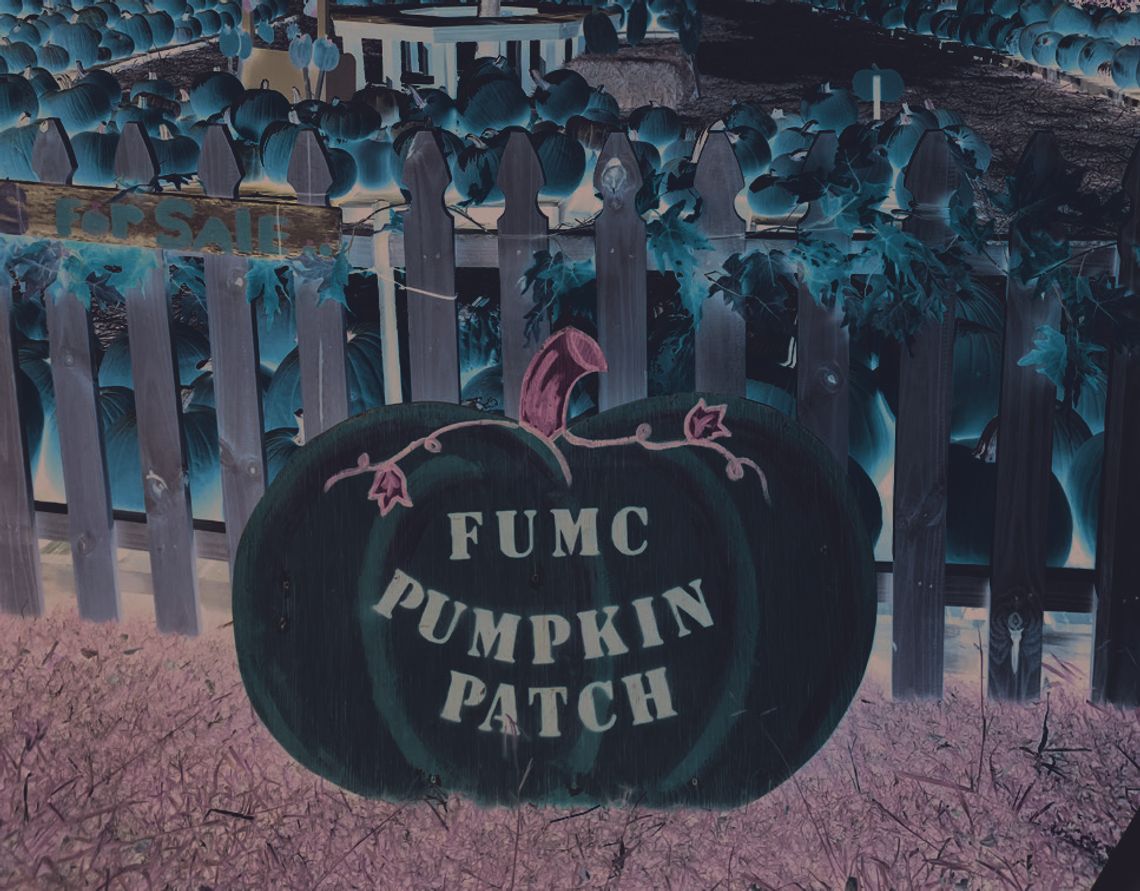 Pumpkin Patch is back at UMC Pumpkin Patch is back at UMC